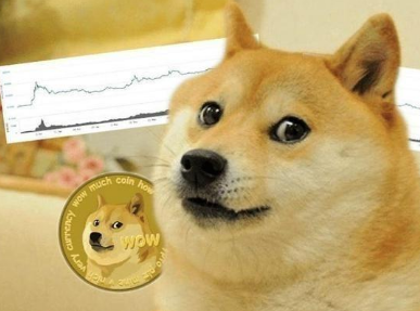 狗狗币是哪个国家发行的_狗狗币是什么币种