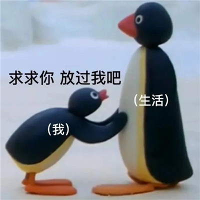 很有趣的小企鹅聊天表情包