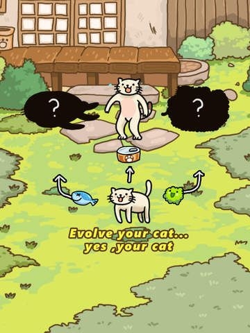猫的进化世界截图3