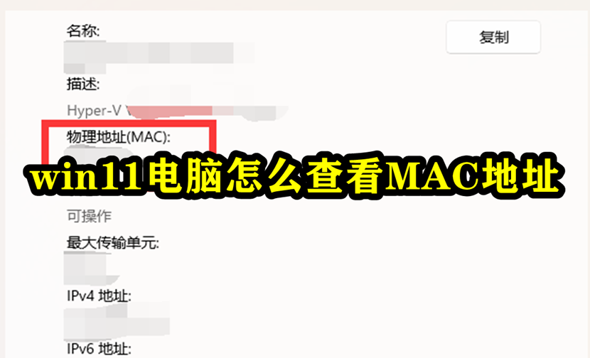 win11电脑查看自身MAC地址步骤图文介绍