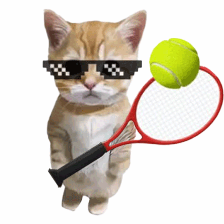 网球大师